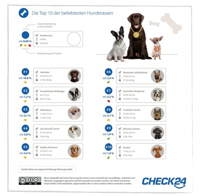 Foto:  obs/CHECK24 GmbH
Der Labrador ist die Nummer eins der beliebtesten Hunderassen 2018. Bolonka Zwetna und Dackel sind neu in den Top Ten. Weiterer Text über ots und www.presseportal.de/nr/73164 / Die Verwendung dieses Bildes ist für redaktionelle Zwecke honorarfrei. Veröffentlichung bitte unter Quellenangabe: "obs/CHECK24 GmbH"