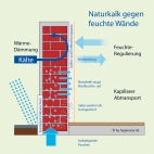 Naturkalkputz von Haga