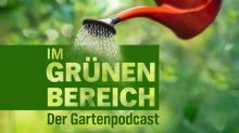 Der gemeinsame Gartenpodcast der NDR Landesfunkhäuser Niedersachsen und Schleswig-Holstein / Weiterer Text über ots und www.presseportal.de/nr/6561 / Die Verwendung dieses Bildes für redaktionelle Zwecke ist unter Beachtung aller mitgeteilten Nutzungsbedingungen zulässig und dann auch honorarfrei. Veröffentlichung ausschließlich mit Bildrechte-Hinweis.