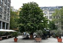 Presse-Einladung: Baum-Pflanzung ist High-Tech: Wir zeigen, wie es richtig geht! / Am Tag des Baumes in Berlin Presse-Einladung: Baum-Pflanzung ist High-Tech: Wir zeigen, wie es richtig geht! / Am Tag des Baumes in Berlin