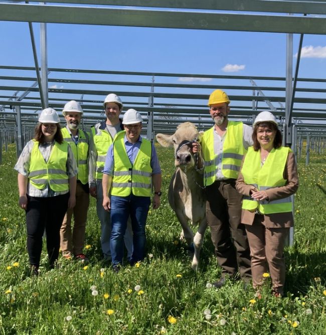 von links nach rechts:
Lorena Keppler, Umweltingenieurin Nestlé Werk Biessenhofen /
Stephan Schindele, Head of Product Management Agri-PV bei BayWa r.e. /
Clemens Teyen, Leiter Umwelt- und Energiemanagement Nestlé Werk Biessenhofen /
Jörg Schmitt, Environment & Sustainability Manager Standorte Nestlé Deutschland /
Gerhard Metz, Landwirt, mit Kuh Marvella /
Maria Rita Zinnecker, Landrätin des Landkreises Ostallgäu / / Weiterer Text über ots und www.presseportal.de/nr/34093 / Die Verwendung dieses Bildes für redaktionelle Zwecke ist unter Beachtung aller mitgeteilten Nutzungsbedingungen zulässig und dann auch honorarfrei. Veröffentlichung ausschließlich mit Bildrechte-Hinweis.