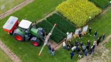 Landwirtschaft am Limit: Zwischen Klimawandel und Schädlingsdruck Landwirtschaft am Limit: Zwischen Klimawandel und Schädlingsdruck