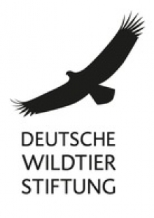 Newsroom von "Deutsche Wildtier Stiftung"